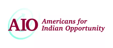 Partner logo AIO-Logo.jpg
