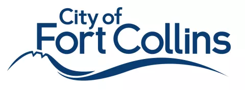 Partner logo FC-Logo-blue.jpg