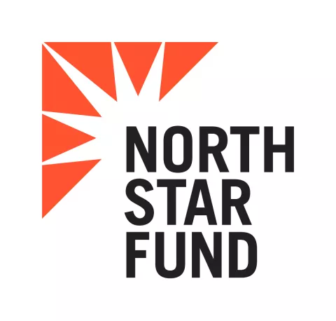 Partner logo NSF_Logo_2018.jpg